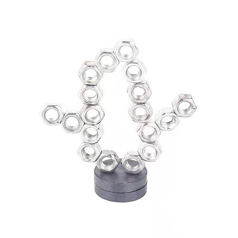 다양한 자기 작은 나무 유치원 초등학생 수제 재료 패키지 과학 실험 장난감 기술 소규모 생산 DIY