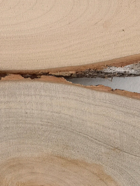 香樟椭圆带皮年轮原木片香气招牌DIY彩绘画装饰门牌挂牌模型底座