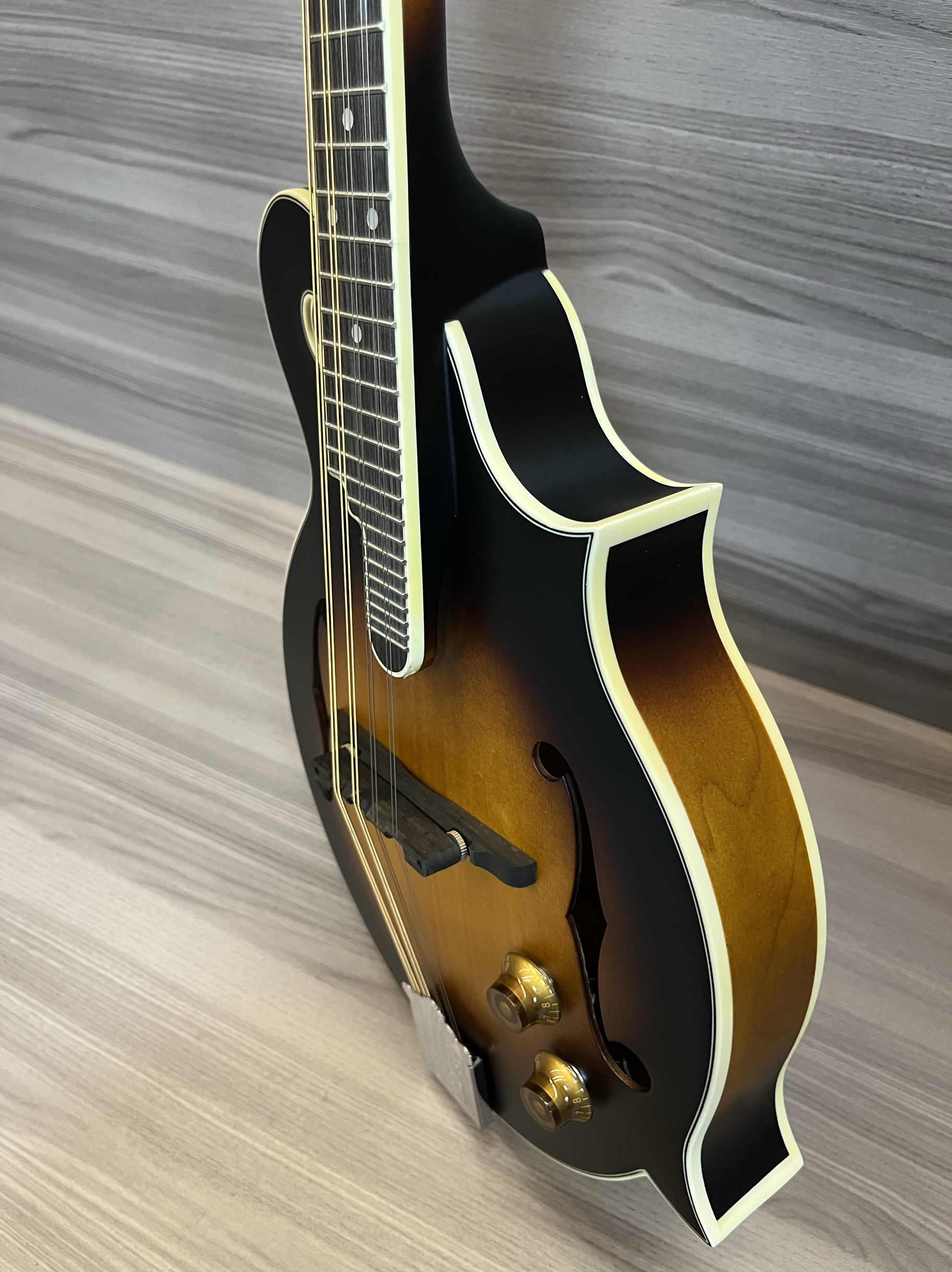 KINGHORN 만돌린 F형 전자 및 뮤지컬 무광택 특수 면 가방 연결 케이블 포함