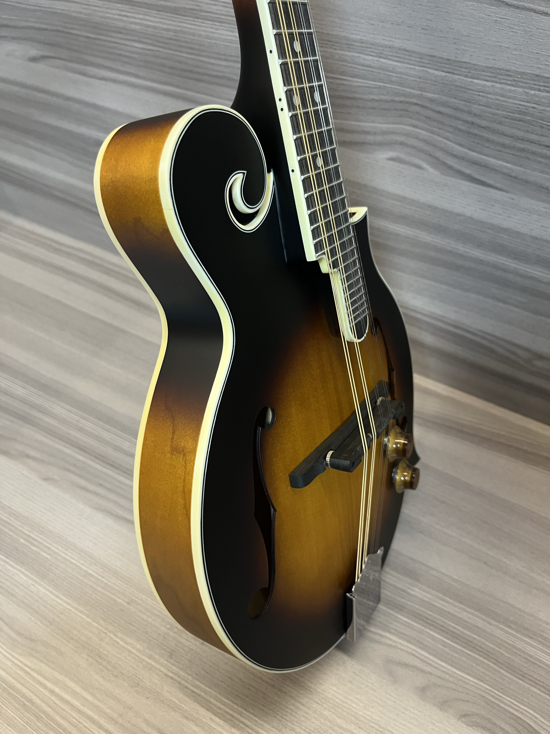 KINGHORN 만돌린 F형 전자 및 뮤지컬 무광택 특수 면 가방 연결 케이블 포함