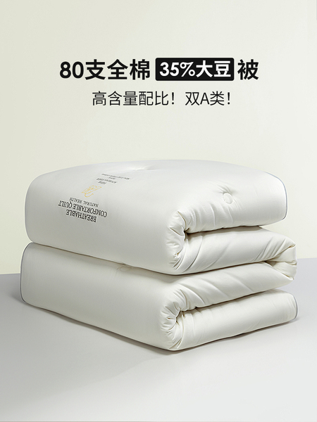 双A类80支长绒棉大豆纤维被子春秋被芯加厚暖冬被子母被四季通用