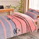 New solid color milk velvet warm student kit high density cotton soft and comfortable bed sheet three-piece set moisture absorption cloud soft and comfortable