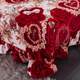 Thickened and warmth in winter, golden sable milk velvet four-piece duvet cover lace bed sheet skirt flannel coral velvet cover