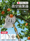 摘水果神器伸缩杆荔枝果子芒果桃杏高空采摘龙眼莲蓬摘果专用工具