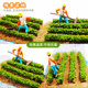 DIY handmade vegetable field building model material mini scene mini simulation food doll house tool mini
