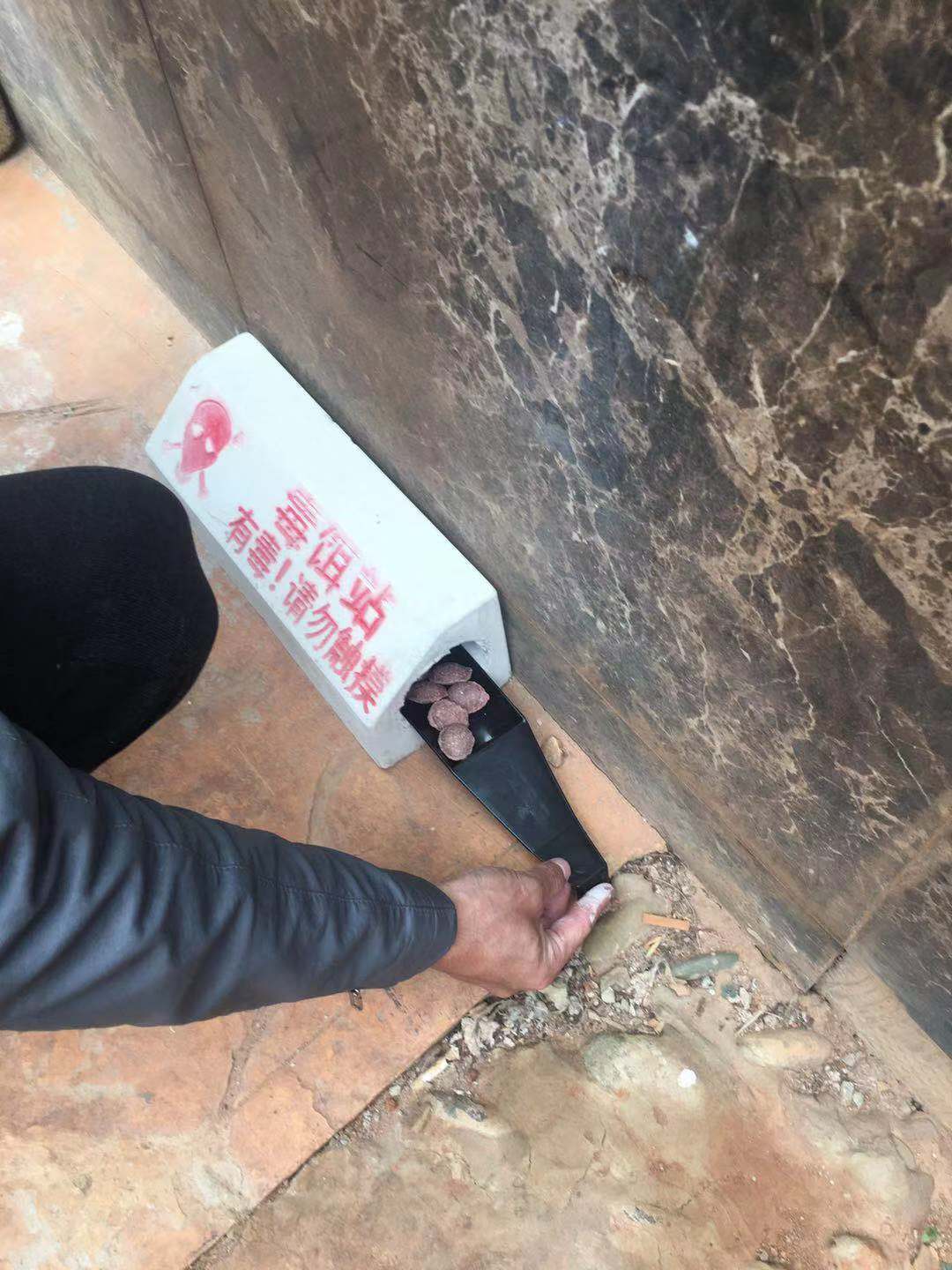 시멘트 독 미끼 스테이션 쥐 상자는 대량의 우수한 새로운 설치류 살인자 유물로 윈난성 부티크를 갖춘 위생 도시 특별을 만듭니다