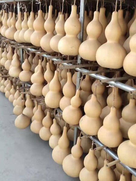 特价处理特大中小号葫芦压腰装饰品摆件有龙头适合练手烙画风水
