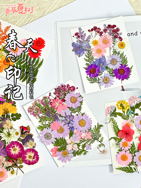 DIY押花混合干花树叶包亲子手工滴胶干花材料包压花真花植物标本