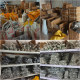 304 single-ear, unpole clamping, stainless steel, strong throat clamping, clamping, water and oil pipe, earless tightening clamping