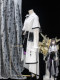 Ark of Tomorrow Dr. Preses Costume 2D Cosplay Animation Game Women's Clothing Full Set