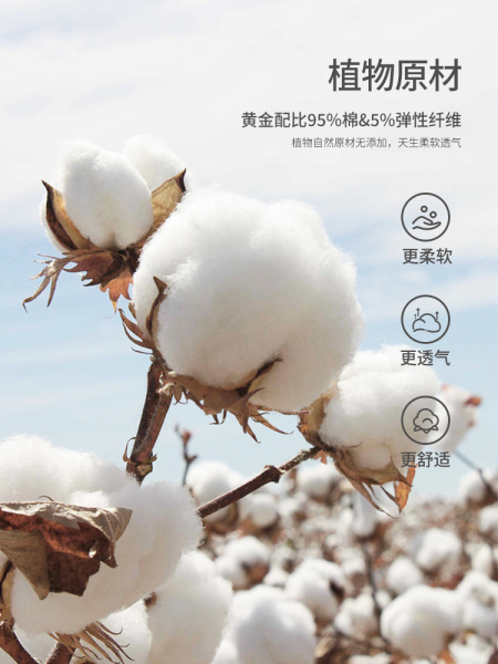 考拉鼻鼻[纯彩柔雾·高腰护肚裤]男女宝四季纯棉多色柔软打底裤子 — 3
