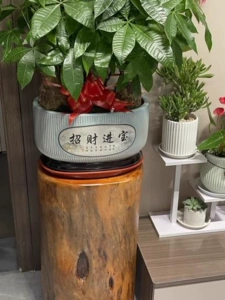 Логировая камфора пирс дерево куча деревянная куча табурет, табурет цветочная полка корень резьба для резьба кофейни твердый древесина Большой базовый пирс пирс