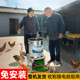 Vegetable crusher for household chickens, ducks, goose breeding, small barrel type agricultural new high-power electric stainless steel multi-function