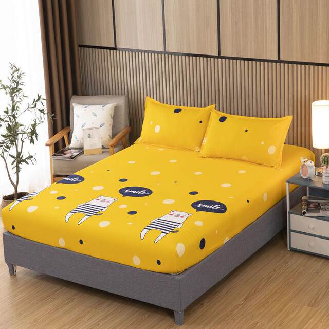 2023 new model hat single-piece pure water washing cotton three-piece set bed sheet pillow case bed cover cover mattress protective cover full package