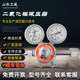 Shanghai Pressure Reducer YQTS-711 Carbon Dioxide Pressure Reducer Valve Double-stage Carbon Dioxide Pressure Reducer Incubator