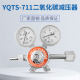 Shanghai Pressure Reducer YQTS-711 Carbon Dioxide Pressure Reducer Valve Double-stage Carbon Dioxide Pressure Reducer Incubator
