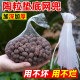 Ceramic granule bottom mesh bag planting flower seeds succulent ceramic mesh bag volcanic stone fish tank breathable storage nylon mesh bag
