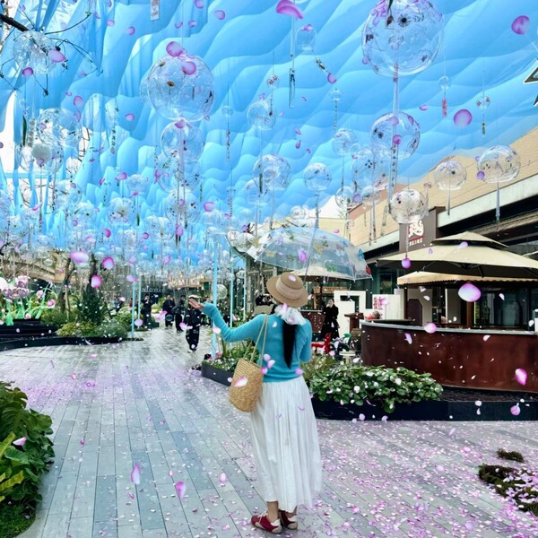蓝色风铃风动纱幔网红景区吊顶装饰花瓣雨波浪帷幔户外遮阳天幕布