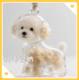 Pet cat, dog, hair storage transparent gaunt hair storage box pendant key chain capsule key chain