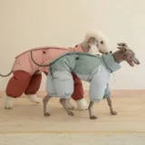 24-летняя собака среднего размера, борзая, уиппет, водолазка, хлопковое пальто, осенняя и зимняя одежда для домашних собак, теплое ветрозащитное экологическое хлопковое пальто