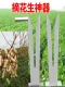 Peanut Picking Artifact Household Picking Edama Picking Peanut Threshing Peanuts Picking Tool Picking Tool Picking Tool