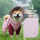 Japan PET PONPON дождевик для собак маленьких и средних размеров, водонепроницаемый и непромокаемый костюм для четвероногих собак, который можно взять на буксир mini 3