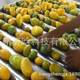 Carrot concentrated juice production line, carrot sauce clear juice turbid juice production equipment, fruit and vegetable juice assembly line device