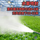 厂家直供汽油脉冲弥雾机烟雾机防疫消毒机打药公共场所消杀喷雾器