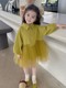Girls' dress autumn 2025 new children's fashionable and fashionable mesh baby spring and autumn long-sleeved princess skirt