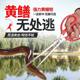 黄鳝夹螃蟹夹子鳝鱼钳控鱼器泥鳅钳子防滑夹鱼神器捉鱼器抓捕工具