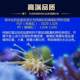 红海光学盐度计水族海水养殖测试仪咸水观赏鱼养殖盐度测量比重计