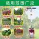 Fertilization tool multi-functional orchard shovel fertilizer device manual agricultural tool fruit tree hard underground deep top dressing device