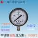 Shangzi Instrument Stainless Steel Shock Resistant Pressure Gauge Y-100BFZ Shanghai Automation Instrument Factory 4 earthquake-resistant Baiyun Brand