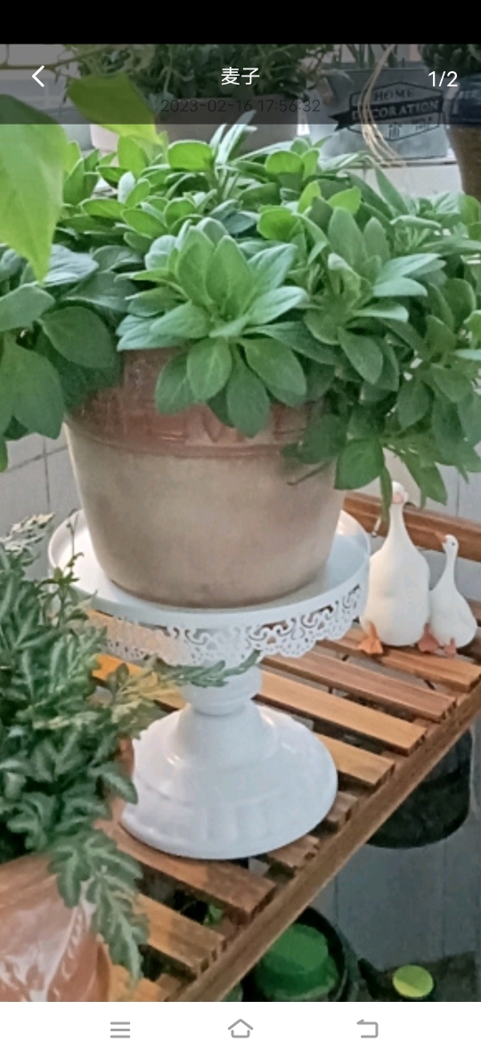 생일 레이아웃 디저트 테이블 장식품 웨딩 디스플레이 선반 유럽 과일 테이블 철 케이크 테이블 아이스크림 스탠드