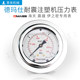 Haitian Zhenxiong Yizhimi injection molding machine pressure gauge Demas DMASS hydraulic gauge Hydraulic gauge 0-31.5MPA