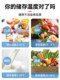 Delixi Refrigerator Thermometer Freezer Sample Retaining Special Medical Refrigerator Refrigeration Cabinet High-precision Electronic Temperature Meter