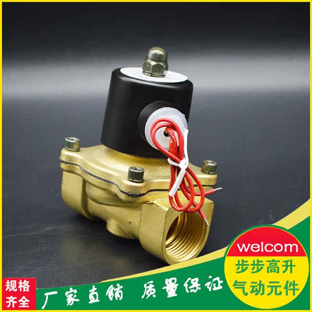 CHNT正泰气动工具 2W水阀 全铜走水电磁阀常闭气阀12V/24V/220V