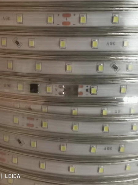 led 交流36v灯带 低压24v 36v防水软灯条照明矿洞建筑地下室工地