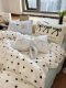 Moonlight Bus Sweet and Cool Love Quilt Cover Pure Cotton Bed Four-Piece Set Hair Ball Pillow Cover Full Cotton Bed Sheet Three-Piece Set