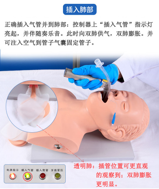 J5S成人气管插管模型 电子人体气管插管训练模型（带报警）医学用