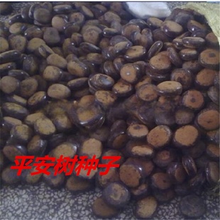 �²�ƽ������ľ�N�Ӿ����ٷN��ƽ�����N���_�h���N����������ă�