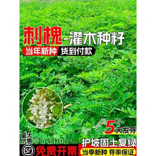 �̻��N���o�¹�����ľ���Ѱ׻��̻����㻨���ͺ��ͺ��Vɽ�;G�N��