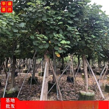 �S� �S�Ș� ���И� ͩ�� ���� ���� ���� ���_�� ������