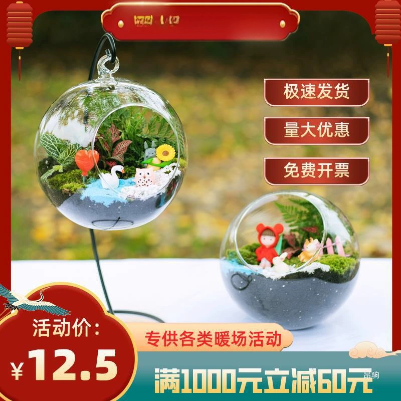 Материал для микроландшафта с суккулентами, мох, настольный микроландшафт, экологическая бутылка, мини-горшок для растений, ручной работы, украшения