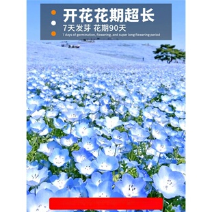 ϲ�ֲݻ��N�ļ��Nֲ�_�����Ի��������ͥԺ�̨�׻���y�~�N��