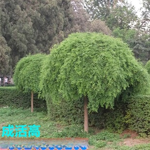 ��ץ�������������ͥԺ�ϱ����Nֲ�G���紹������ͥԺ�S�𻱘���