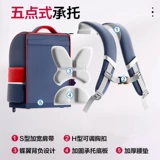 Ченгуанг детская книга книги книг книг Bookburns похоронены мальчики для мальчиков.