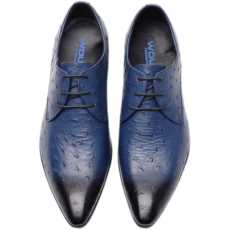 BLUE OSTRICH PATTERN LEATHER SHOES MENS KOREAN VERSION POINTED TOE LEATHER FASHIONABLE CASUAL LEATHER SHOES COWHIDE TRENDY SHOES SINGLE SHOES BREATHABLE
