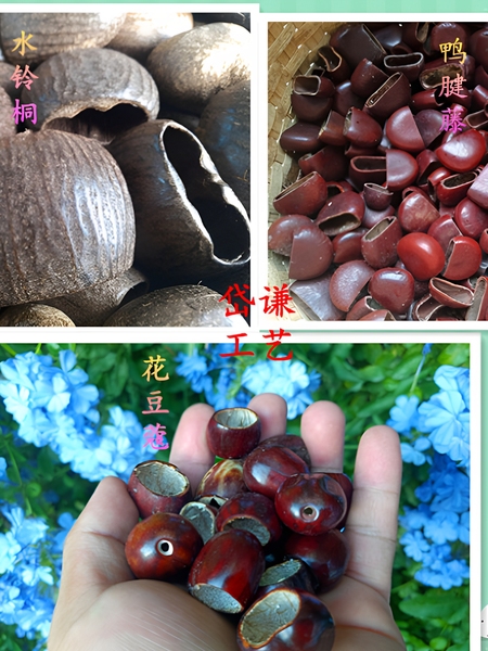 天然果壳水铃桐 鸭健藤 花豆蔻 手摇铃风铃主材料 DIY手作主原料