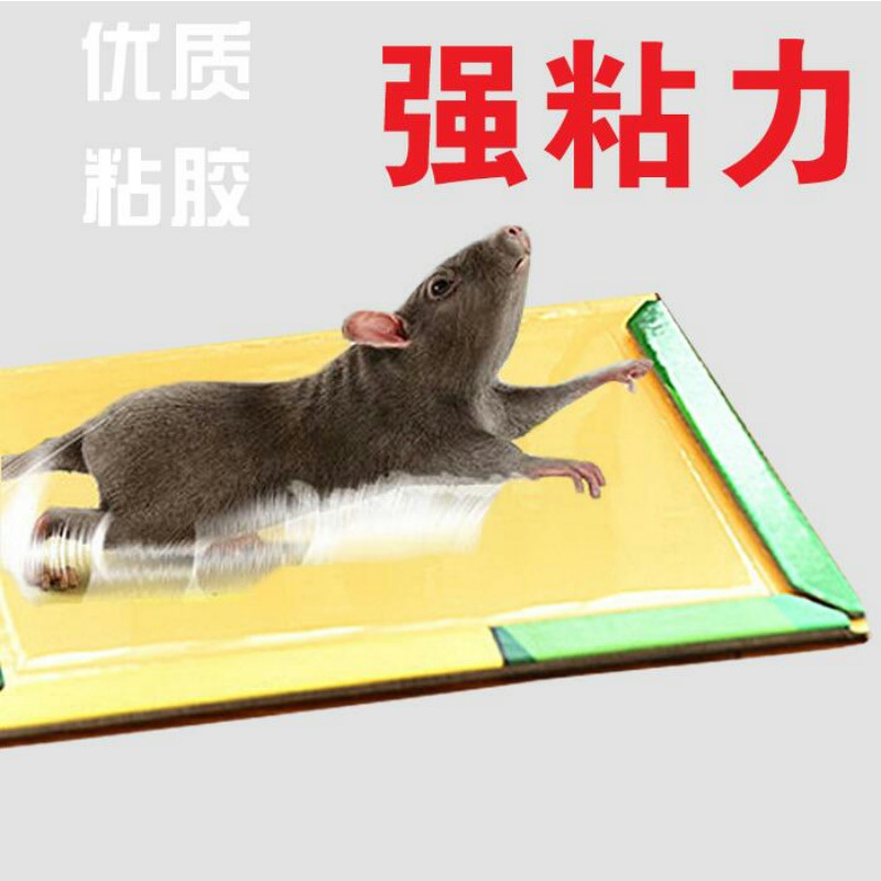 초강력 접착 마우스 보드 마우스 스티커 가정용 쥐덫 쥐덫 마우스 접착제 마우스 접착제 구충제 마우스 보드
